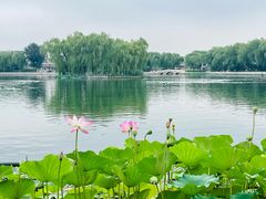 -郭守敬纪念馆