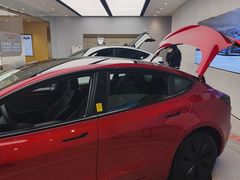-TESLA 特斯拉(郑州正弘城体验店)