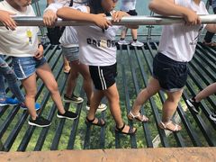 -梦幻奥陶纪景区