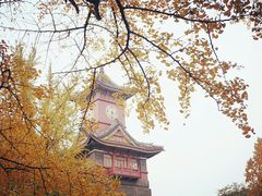 -四川大学(华西校区)