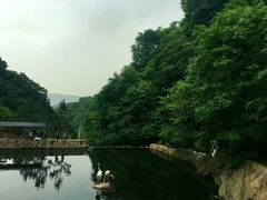 -沣峪口