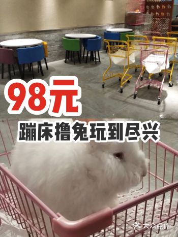 98元蹦床撸兔玩到尽兴