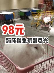 -萌兔星空蹦床撸兔馆