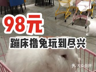 98元蹦床撸兔玩到尽兴