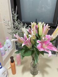 -PinkBaby美甲美睫