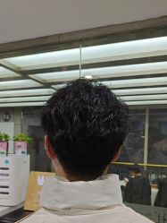 -镁连社·美联社