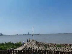-上海滨江森林公园