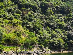 -磐安舞龙峡景区