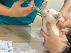 -荔康动物医院(康王北路店)