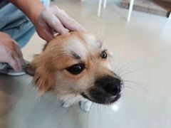 -馆陶手作坊DIY·陶艺·石塑粘土·石膏娃娃(车陂店)