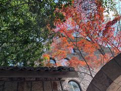 -莫干山风景区