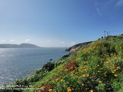 -东极岛景区
