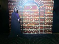 -奥斯卡升龙国际影城(RealD Cinema)