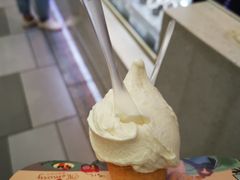 -野人先生现做冰淇淋(西安赛格店)
