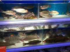 -盒马鲜生(岭南新世界店)