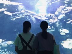 -暹罗海洋世界