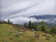 -芦芽山旅游度假区