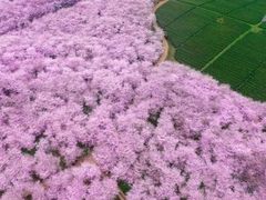 -白沙门生态公园