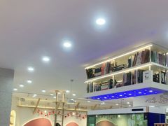 -喵园·猫主题咖啡厅·撸猫·猫咖(国贸店)