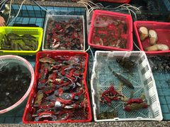 -霞涌市场海鲜摆卖区