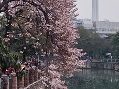 -红星桥(地铁站)