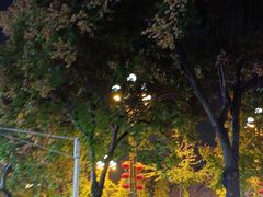 -一记洛阳菜·糖醋小排·水席(十字街店)