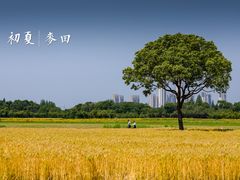 -九里河湿地公园