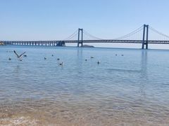 -星海湾跨海大桥