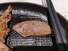 -MR鹅外