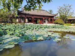 -上海滨江森林公园