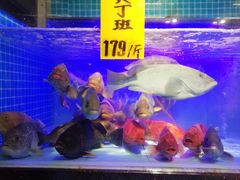 -九號渔港·蒸汽海鲜·粤菜茶点(八卦岭店)
