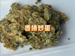 -云中小雅