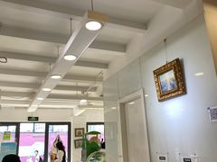-Salud撒露欧洲冻酸奶(798艺术区店)