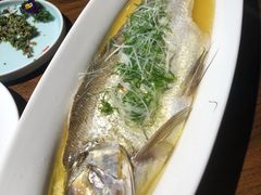 太湖白鱼-金枝玉叶上海人家食府(三里河店)