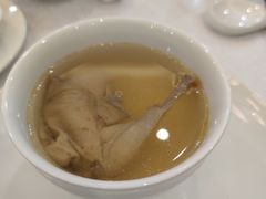 鲜石斛洋参炖鹧鸪-欢乐海岸美食联盟