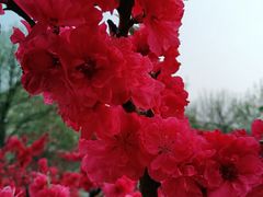 -元大都城垣遗址公园