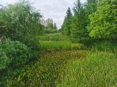 -昆山城市生态森林公园