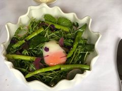 薄荷豆苗色拉配农场温泉蛋-蝶舍·MAISON PAPILLON