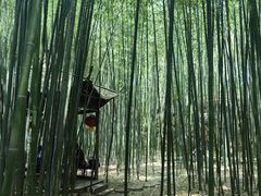 -竹泉村旅游度假区