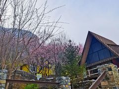 -幽岚山·童话森林
