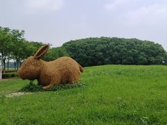 -嘉北郊野公园