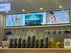 -雾与山茶(大禹城店)