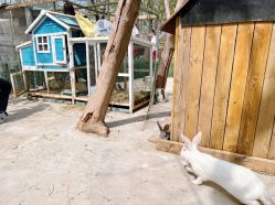 -268童话露营农场·烧烤·团建