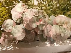 -王府井百货熙地港店