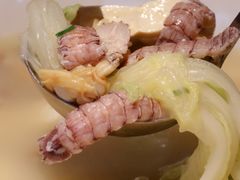 虾爬肉炖豆腐-燕郊烧鸽子(广安路店)