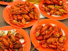 -上海大宁福朋喜来登酒店大堂吧(共和新路店)