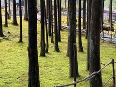 -玉苍山国家森林公园