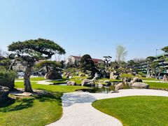 -罗红摄影艺术馆