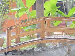 -陶缘一号·四季缘·老字号顺德菜·户外婚礼家宴(西滘店)