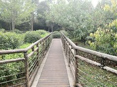 -贵阳市花溪国家城市湿地公园